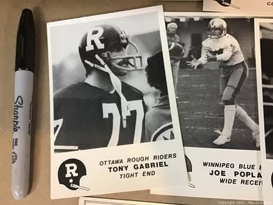 1981 JOGO Stars of the CFL Trading Cards – Near Set (46 of 50)